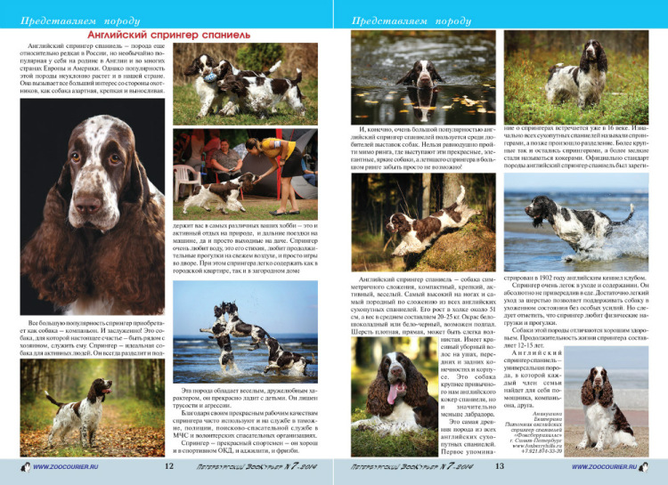 194947-8f5fb-83037285-m750x740-ub1d50.jp